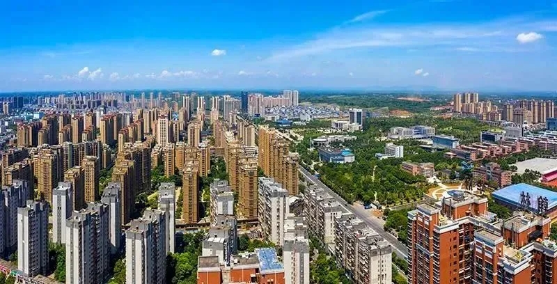 20250305139496.jpg 10.webp.jpg